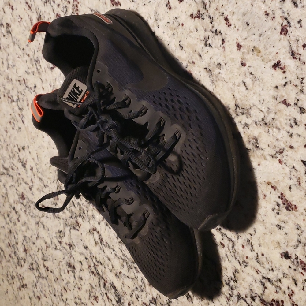 Nike Shield Pegasus 34